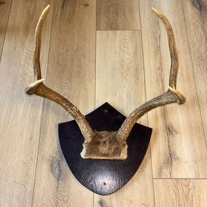 Rustic Antler Wall Mount Decor
